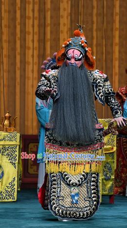 Sacrifice Zhao Shi Gu Er Chinese Peking Opera General Garment Costumes and Headwear Beijing Opera Elderly Male Wei Jiang Apparels Clothing