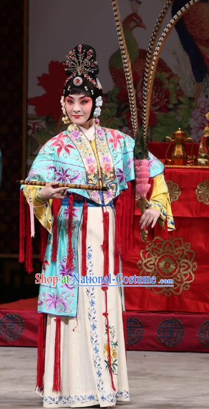 Chinese Beijing Opera Swordsplay Woman Xi Shi Apparels Costumes and Headdress Traditional Peking Opera Martial Female Dress Garment