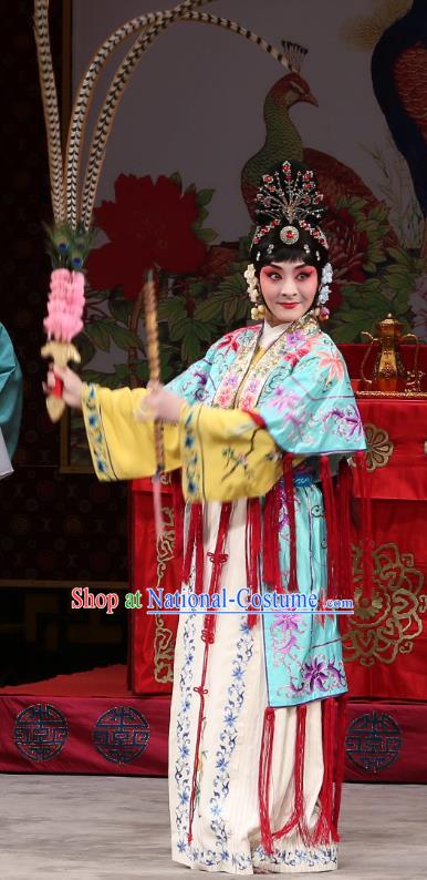 Chinese Beijing Opera Swordsplay Woman Xi Shi Apparels Costumes and Headdress Traditional Peking Opera Martial Female Dress Garment