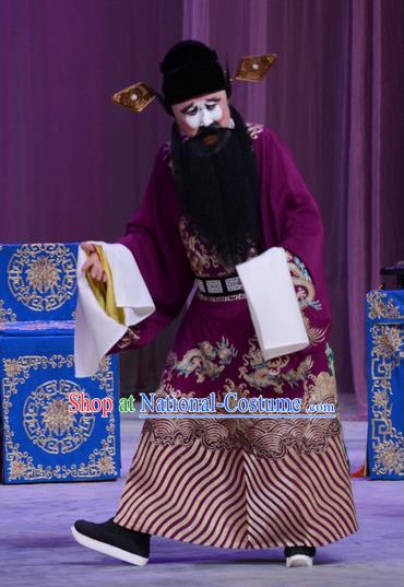 Chu Palace Hen Chinese Peking Opera Laosheng Garment Costumes and Headwear Beijing Opera Treacherous Official Fei Wuji Apparels Clothing