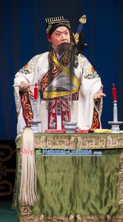 Qing Shi Mountain Chinese Peking Opera Laosheng Elderly Male Garment Costumes and Headwear Beijing Opera Taoist Lv Dongbin Apparels Clothing