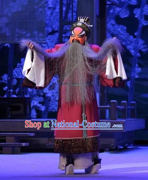 Zhen Guan Flourishing Age Chinese Peking Opera Chancellor Wei Zheng Garment Costumes and Headwear Beijing Opera Laosheng Clothing Apparels