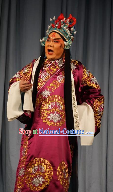 Number One Scholar Matchmaker Chinese Peking Opera Martial Male Garment Costumes and Headwear Beijing Opera General Fu Dingkui Apparels Takefu Clothing