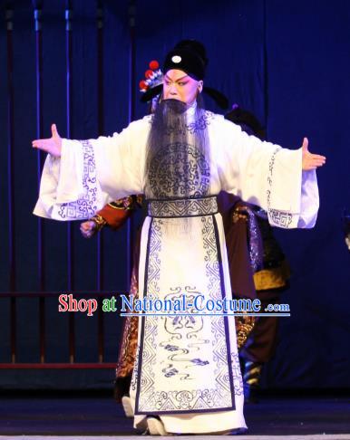 Da Meng Chang Ge Chinese Peking Opera Laosheng Xin Qiji Garment Costumes and Headwear Beijing Opera Elderly Male Apparels Clothing