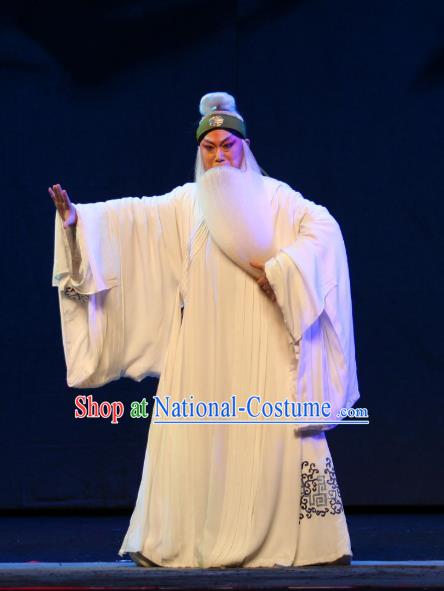 Da Meng Chang Ge Chinese Peking Opera Elderly Male Garment Costumes and Headwear Beijing Opera Laosheng Apparels Poet Xin Qiji Clothing