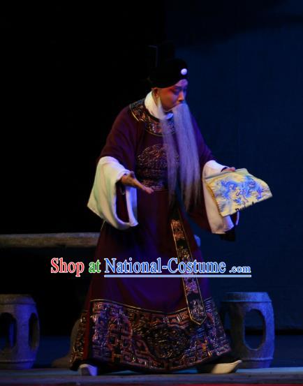 Da Meng Chang Ge Chinese Peking Opera Official Garment Costumes and Headwear Beijing Opera Laosheng Elderly Male Xin Qiji Apparels Clothing