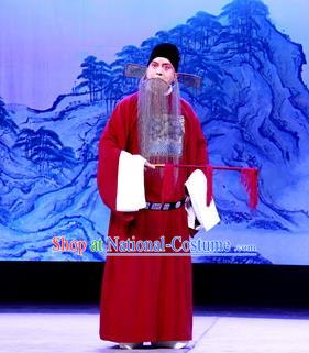 Tun Wu Hen Chinese Peking Opera Elderly Male Garment Costumes and Headwear Beijing Opera Laosheng Apparels Official Zhuge Jin Clothing