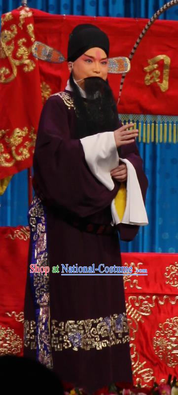 Qun Jie Hua Chinese Peking Opera Laosheng Elderly Male Garment Costumes and Headwear Beijing Opera Apparels Official Clothing