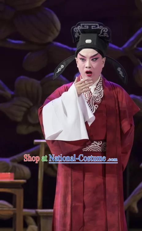 Qing Si Hen Chinese Peking Opera Young Male Garment Costumes and Headwear Beijing Opera Xiaosheng Apparels Scholar Wang Kui Clothing