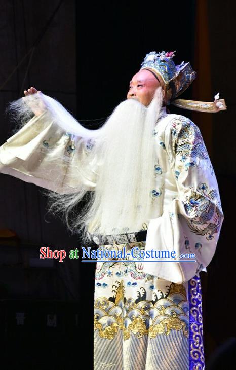 Fifteen Strings of Cash Chinese Shanxi Opera Laosheng Apparels Costumes and Headpieces Traditional Jin Opera Elderly Male Garment Old Official Clothing