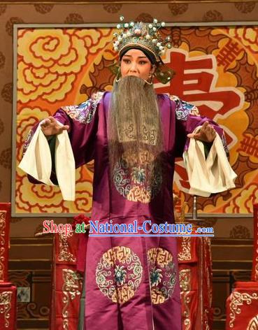 Yi Pu Zhong Hun Chinese Shanxi Opera Landlord Apparels Costumes and Headpieces Traditional Jin Opera Elderly Male Garment Laosheng Cao Mo Clothing