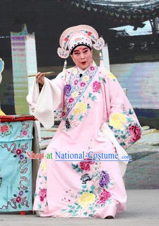 Shuang Luo Shan Chinese Shanxi Opera Young Male Apparels Costumes and Headpieces Traditional Jin Opera Xiaosheng Garment Scholar Xu Jizu Clothing