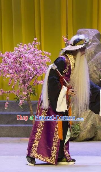 The Lotus Lantern Chinese Shanxi Opera Laosheng Apparels Costumes and Headpieces Traditional Jin Opera Taoist Garment Elderly Male Clothing