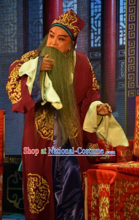 The Crimson Palm Chinese Bangzi Opera Landlord Wang Chun Apparels Costumes and Headpieces Traditional Clapper Opera Laosheng Garment Elderly Male Clothing