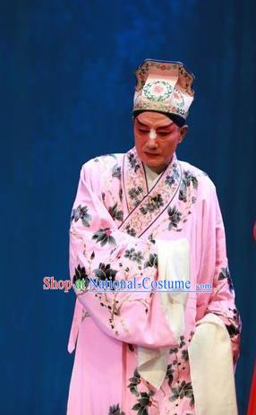 Story About A Wall Chinese Lu Opera Scholar Apparels Costumes and Headpieces Traditional Shandong Opera Clown Garment Zhang Erguai Pink Robe Clothing