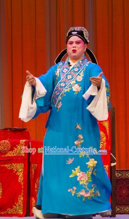 Zi Mei Yi Jia Chinese Lu Opera Scholar Apparels Costumes and Headpieces Traditional Shandong Opera Niche Garment Xiaosheng Mao Ji Clothing