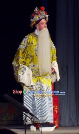 The Romance of Hairpin Chinese Qu Opera Laosheng Apparels Costumes and Headpieces Traditional Henan Opera Elderly Male Garment Governor Qian Zaihe Clothing