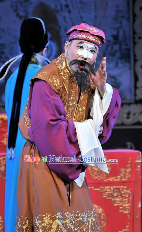 Forced Marriage Chinese Lu Opera Clown Apparels Costumes and Headpieces Traditional Shandong Opera Chou Role Garment Adviser Clothing