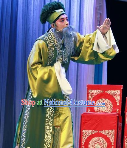 Zi Mei Yi Jia Chinese Lu Opera Laosheng Apparels Costumes and Headpieces Traditional Shandong Opera Landlord Garment Elderly Male Zhang Youwang Clothing