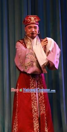 Forced Marriage Chinese Lu Opera Elderly Man Apparels Costumes and Headpieces Traditional Shandong Opera Clown Garment Adviser Clothing