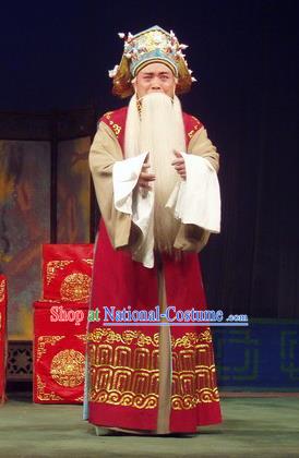 Jiu Ling Jiu Zhu Chinese Qu Opera Laosheng Apparels Costumes and Headpieces Traditional Henan Opera Elderly Male Garment Prime Minister Zhang Jiuling Clothing