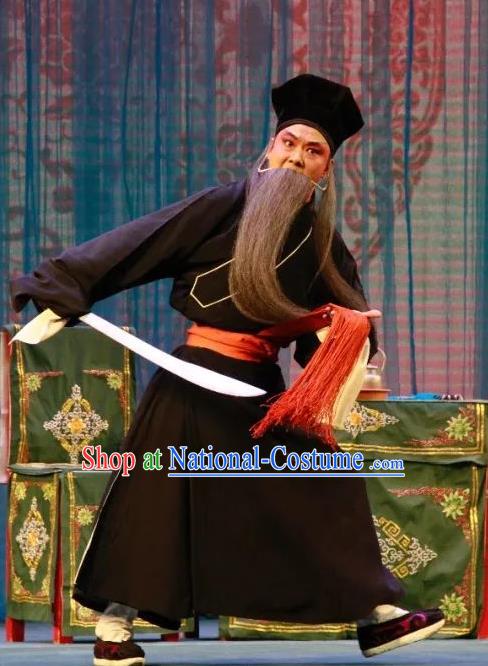 Long Feng Mian Chinese Lu Opera Old Servant Ding Kui Apparels Costumes and Headpieces Traditional Shandong Opera Laosheng Garment Elderly Male Clothing