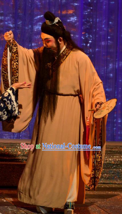 Butterfly Dream Chinese Hubei Hanchu Opera Laosheng Apparels Costumes and Headpieces Traditional Han Opera Elderly Male Garment Scholar Zhuang Zhou Clothing