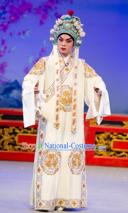 The Princess in Distress Chinese Guangdong Opera Young Male Yelu Junxiong Apparels Costumes and Headpieces Traditional Cantonese Opera Wusheng Garment Clothing