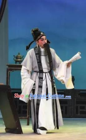 The Peony Pavilion Chinese Guangdong Opera Laosheng Apparels Costumes and Headpieces Traditional Cantonese Opera Elderly Male Garment Prefecture Du Bao Clothing