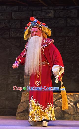 Chinese Guangdong Opera Infante Apparels Costumes and Headpieces Traditional Cantonese Opera Elderly Male Garment Lord Wu Zixu Clothing