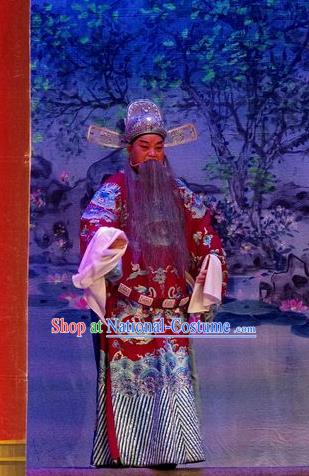 Qian Tang Su Xiaoxiao Chinese Guangdong Opera Laosheng Apparels Costumes and Headpieces Traditional Cantonese Opera Elderly Male Garment Official Ruan Shaoye Clothing