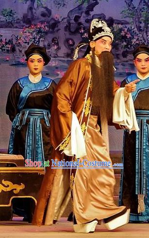 Qian Tang Su Xiaoxiao Chinese Guangdong Opera Elderly Male Apparels Costumes and Headpieces Traditional Cantonese Opera Laosheng Garment Lord Ruan Shaoye Clothing