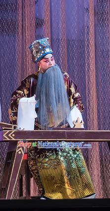 The Romance of Hairpin Chinese Guangdong Opera Prime Minister Wan Si Apparels Costumes and Headpieces Traditional Cantonese Opera Laosheng Garment Elderly Male Clothing