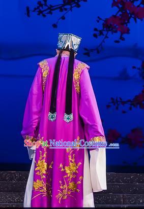 The Romance of Hairpin Chinese Guangdong Opera Laosheng Apparels Costumes and Headpieces Traditional Cantonese Opera Landlord Garment Elderly Male Clothing