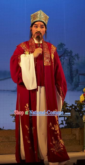 Legend of Lun Wenxu Chinese Guangdong Opera Ministry Councillor Apparels Costumes and Headpieces Traditional Cantonese Opera Laosheng Garment Landlord Clothing