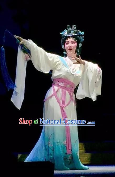 Chinese Cantonese Opera Young Female Garment Yuan Yang Sword Costumes and Headdress Traditional Guangdong Opera Diva Qin Huilan Apparels Actress Dress