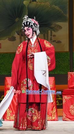 Chinese Cantonese Opera Rich Lady Garment Costumes and Headdress Traditional Guangdong Opera Hua Tan Apparels Actress Jia Yunv Red Dress