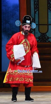 Chinese Guangdong Opera Magistrate Apparels Costumes and Headpieces Traditional Cantonese Opera Official Garment Clown Clothing