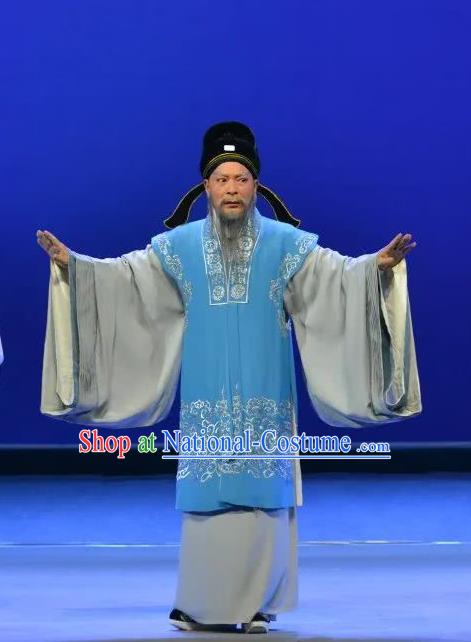 Search the College Chinese Guangdong Opera Laosheng Apparels Costumes and Headpieces Traditional Cantonese Opera Elderly Male Garment Rector Xie Bao Clothing