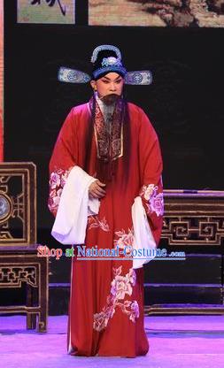 The Lotus Lantern Chinese Guangdong Opera Elderly Male Apparels Costumes and Headpieces Traditional Cantonese Opera Garment Laosheng Liu Yanchang Clothing