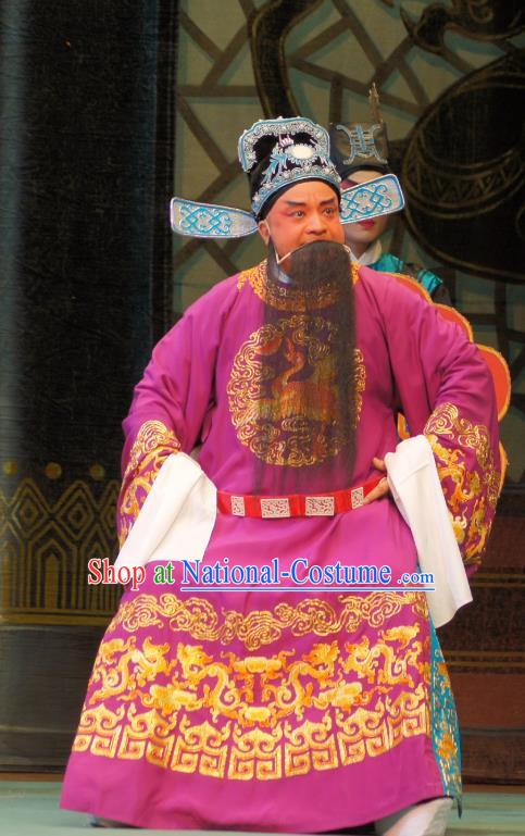 Emperor and the Village Girl Chinese Guangdong Opera Laosheng Apparels Costumes and Headpieces Traditional Cantonese Opera Official Cao Zibin Garment Elderly Male Clothing