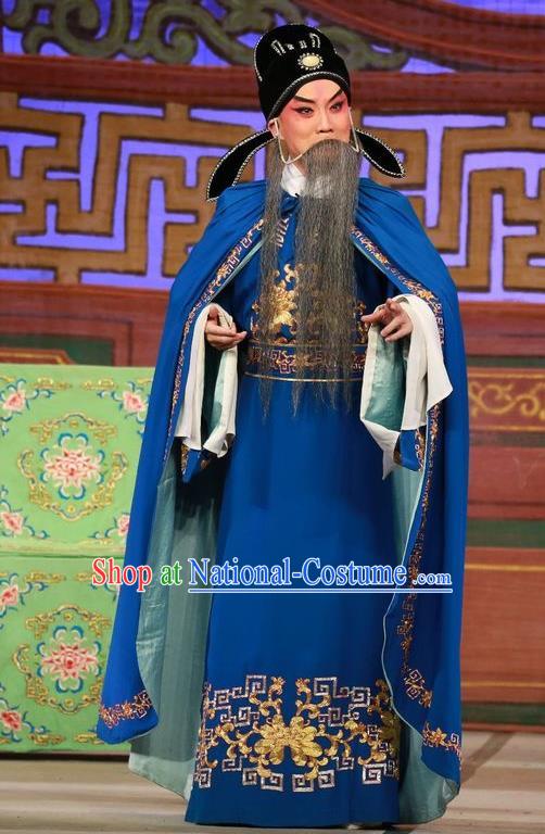 The Mad Monk by the Sea Chinese Guangdong Opera Laosheng Apparels Costumes and Headwear Traditional Cantonese Opera Elderly Male Garment Wu Dacheng Clothing