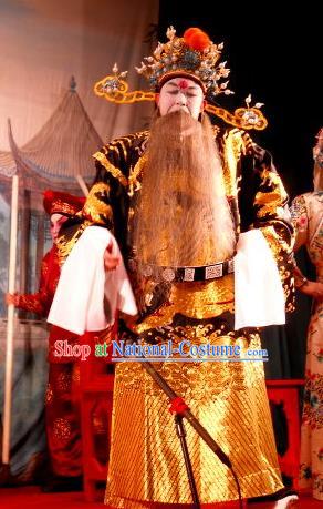 Love in the Red Plum Chinese Guangdong Opera Jing Apparels Costumes and Headwear Traditional Cantonese Opera Elderly Male Garment Treacherous Official Jia Sidao Clothing