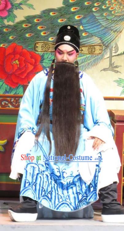 The Strange Stories Chinese Guangdong Opera Elderly Male Apparels Costumes and Headwear Traditional Cantonese Opera Laosheng Garment Official Wang Sheng Clothing