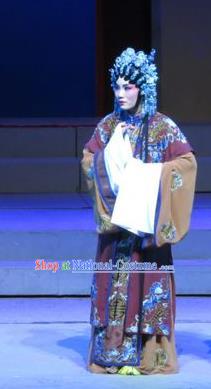 Chinese Cantonese Opera Elderly Female Garment The Strange Stories Costumes and Headdress Traditional Guangdong Opera Dame Apparels Mistress Dress