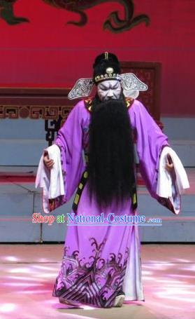 The Strange Stories Chinese Guangdong Opera Treacherous Official Pang Jijian Apparels Costumes and Headwear Traditional Cantonese Opera Jing Garment Elderly Male Clothing