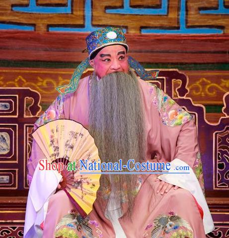 San Xiao Yin Yuan Chinese Guangdong Opera Imperial Tutor Hua Apparels Costumes and Headwear Traditional Cantonese Opera Laosheng Garment Elderly Male Clothing