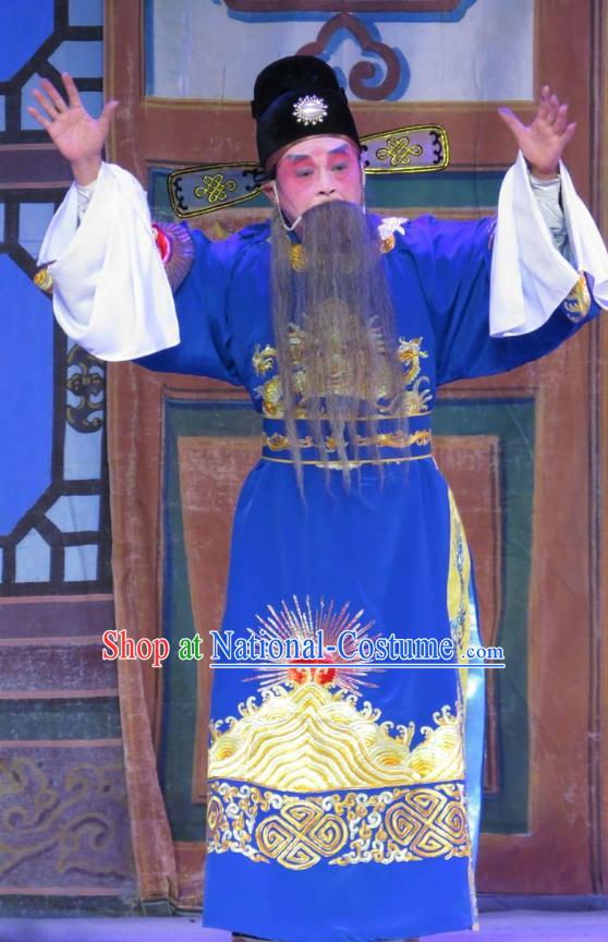 Wu Nv Bai Shou Chinese Guangdong Opera Laosheng Apparels Costumes and Headwear Traditional Cantonese Opera Elderly Male Garment Official Yang Jikang Clothing