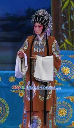 Chinese Cantonese Opera Noble Dame Garment Wu Nv Bai Shou Costumes and Headdress Traditional Guangdong Opera Elderly Female Apparels Mistress Dress