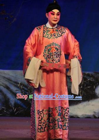 Shi Zou Yan Song Chinese Guangdong Opera Number One Scholar Hai Rui Apparels Costumes and Headwear Traditional Cantonese Opera Garment Young Male Clothing